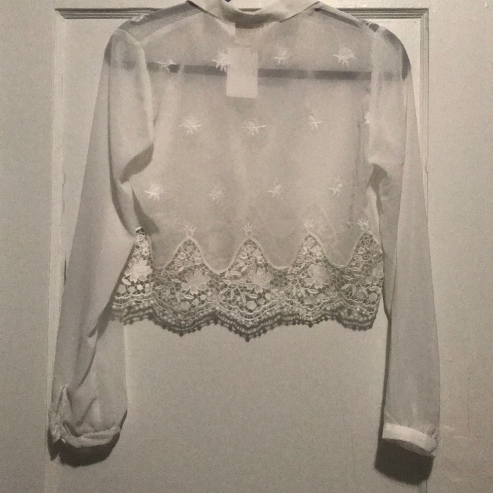 Divided sheer crop too, lace and embroidery